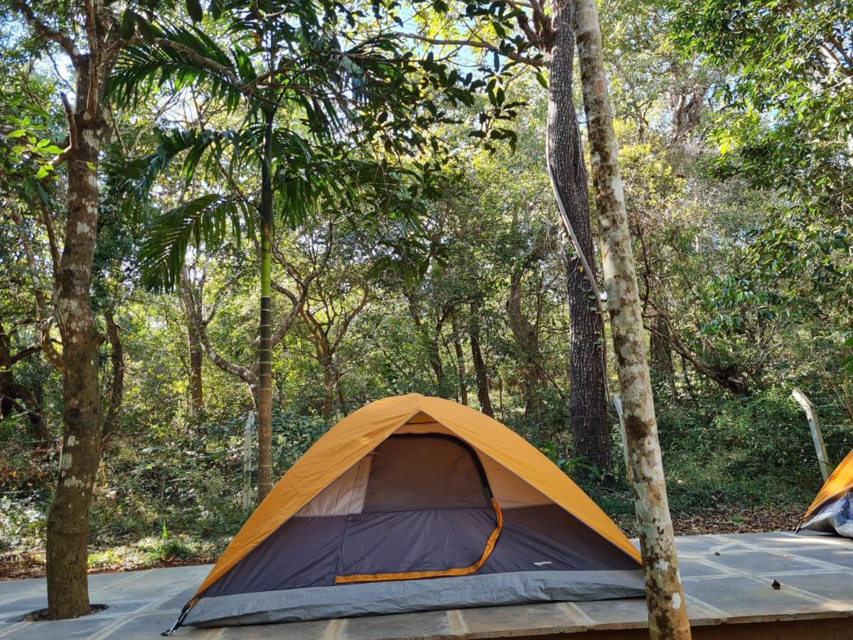 Captain'S Camp Sirsi Экстерьер фото